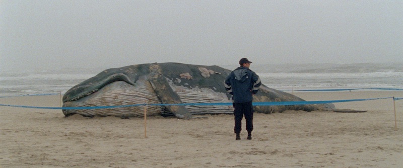 Fot: Materiały prasowe / SNH 1001noc 03