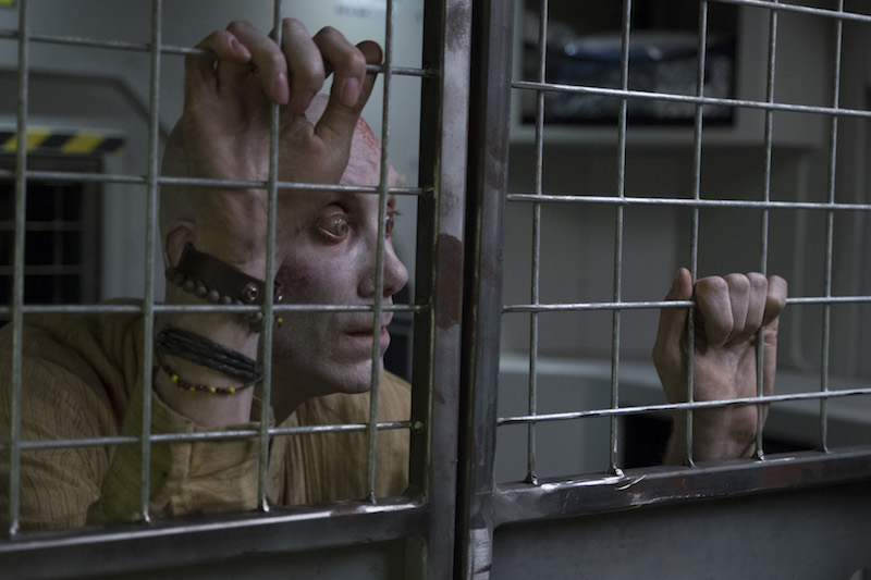 Fot: materiały prasowe logan 02