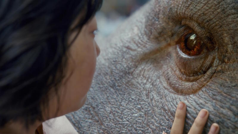 okja 02