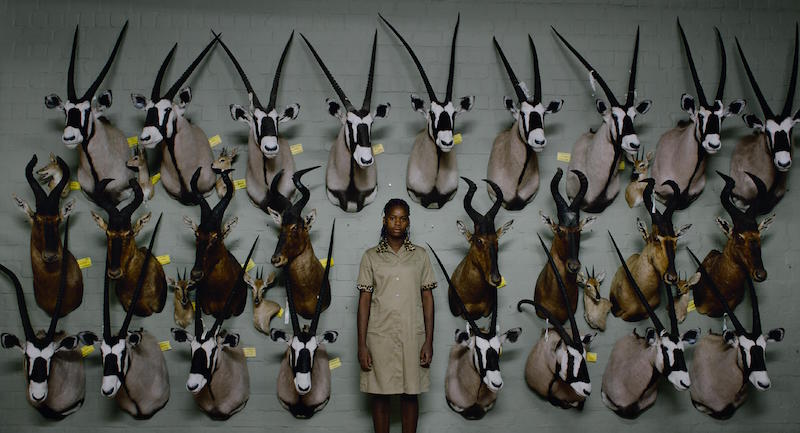 Fot. materiały prasowe / Against Gravity SAFARI 1