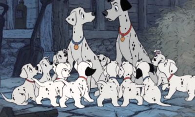 Zdjęcie okładkowe wpisu: Recenzja filmu 101 Dalmatyńczyków (1961)