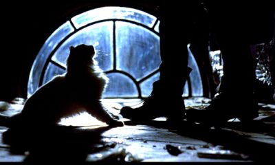 Zdjęcie okładkowe wpisu: Recenzja filmu Kruk (1994)