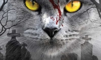 Zdjęcie okładkowe wpisu: Smętarz dla zwierzaków – reżyser melduje rozpoczęcie zdjęć!