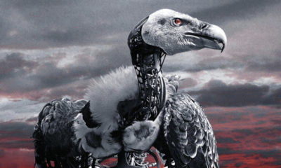 Zdjęcie okładkowe wpisu: Konkurs/Wyniki: Wygraj gadżety z serialu Westworld!