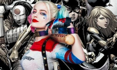 Zdjęcie okładkowe wpisu: Birds of Prey – Margot Robbie zdradza nowe informacje!