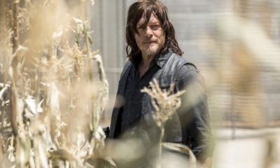 Zdjęcie okładkowe wpisu: FOX ujawnia datę premiery oraz pierwszy zwiastun 9. sezonu The Walking Dead! | SDCC 2018