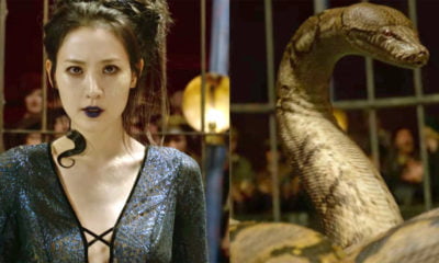 Zdjęcie okładkowe wpisu: J.K. Rowling oskarżona o rasizm. Pisarka broni castingu do roli Nagini