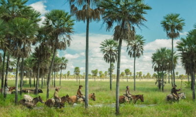 Zdjęcie okładkowe wpisu: Zama – recenzja najwolniejszej eksploracji w historii