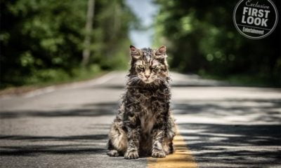 Zdjęcie okładkowe wpisu: Smętarz dla zwierzaków – pojawiły się pierwsze opinie dziennikarzy