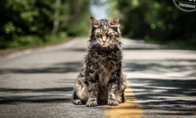 Zdjęcie okładkowe wpisu: Smętarz dla zwierzaków – pierwsze zdjęcia z nowej adaptacji powieści Kinga