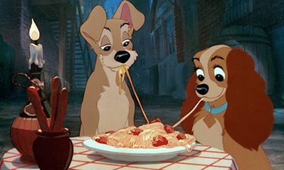 Zdjęcie okładkowe wpisu: Zakochany kundel – w remake’u animacji wystąpią prawdziwe psy!