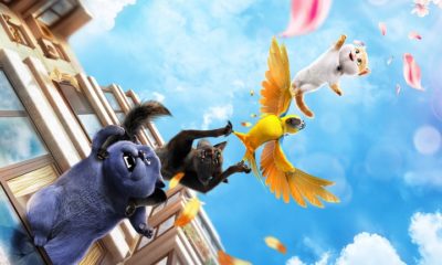 Zdjęcie okładkowe wpisu: Wyniki: Wygraj kocie nagrody z okazji premiery Sekretnego świata kotów!