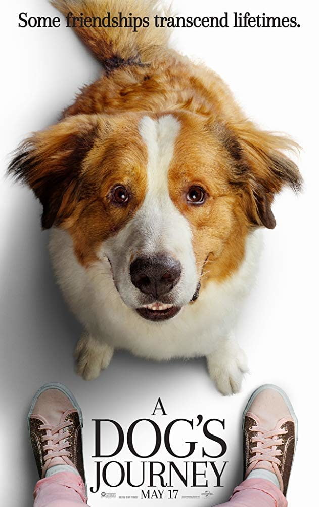 Zdjęcie okładkowe wpisu: A Dog’s Journey – nierozerwalna więź i nowy cel kochanego na świecie czworonoga! Pierwszy zwiastun!