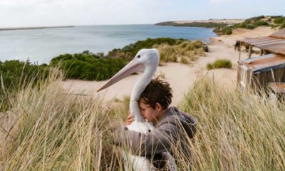 Zdjęcie okładkowe wpisu: Wyniki: Wygraj zestaw nagród z okazji premiery Chłopca z burzy!