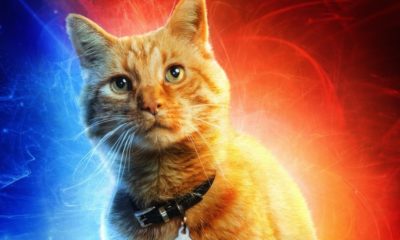 Zdjęcie okładkowe wpisu: Kapitan Marvel – oto bohaterowie widowiska na nowych plakatach!