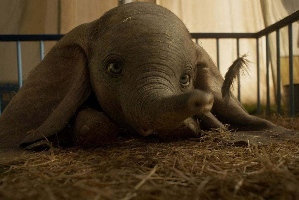Zdjęcie okładkowe wpisu: Dumbo – kolejny teaser nowego filmu Disneya