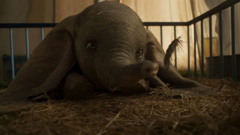 Zdjęcie okładkowe wpisu: Dumbo – pełen radości, międzynarodowy plakat filmu!