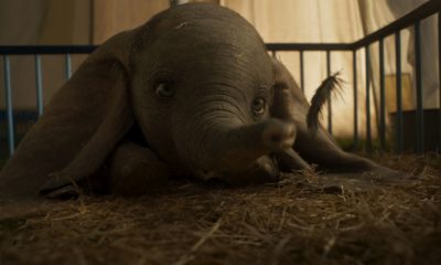 Zdjęcie okładkowe wpisu: Dumbo – pełen radości, międzynarodowy plakat filmu!