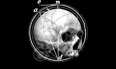Zdjęcie okładkowe wpisu: Peanatema już w sprzedaży