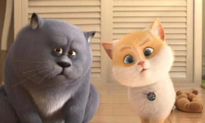 Zdjęcie okładkowe wpisu: Sekretny świat kotów – recenzja uroczej, ale nie spełniającej oczekiwań animacji