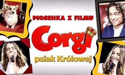 Zdjęcie okładkowe wpisu: Corgi, psiak Królowej – Piotr Rubik prezentuje piosenkę promującą film