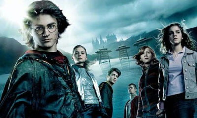 Zdjęcie okładkowe wpisu: Fani serii Harry Potter zawiedzeni powstawaniem serialowej adaptacji