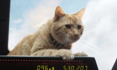 Zdjęcie okładkowe wpisu: Kapitan Marvel – młody Nick Fury w akcji! Nowy fragment filmu oraz kolejne plakaty!