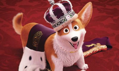 Zdjęcie okładkowe wpisu: Wyniki: Wygraj nagrody dla swojego pupila z okazji premiery Corgi, psiak Królowej!