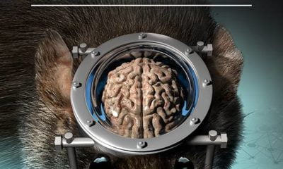 Zdjęcie okładkowe wpisu: Wehikuł czasu wystartuje już niedługo. Rebis wydaje serię klasycznego SF!