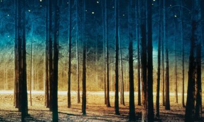 Zdjęcie okładkowe wpisu: Przejście – Postapokaliptyczny thriller już w księgarniach!