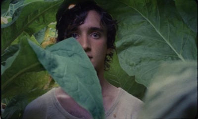 Zdjęcie okładkowe wpisu: Szczęśliwy Lazzaro – recenzja unikalnego, pięknego, wyjątkowego filmu Alice Rohrwacher