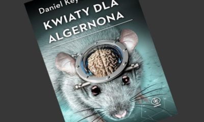 Zdjęcie okładkowe wpisu: Daniel Keyes – Kwiaty dla Algernona – recenzja książki