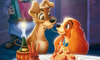 Zdjęcie okładkowe wpisu: Zakochany kundel w wersji live-action! Oto pierwsze zdjęcie