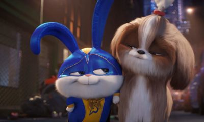 Zdjęcie okładkowe wpisu: Sekretne życie zwierzaków domowych 2 – nowy zwiastun!