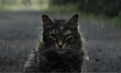 Zdjęcie okładkowe wpisu: Smętarz dla zwierzaków – finalny zwiastun adaptacji Stephena Kinga!