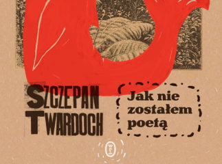 Zdjęcie okładkowe wpisu: Nowy Twardoch pod koniec kwietnia