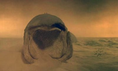 Zdjęcie okładkowe wpisu: Nowa Diuna będzie miała tylko dwie części