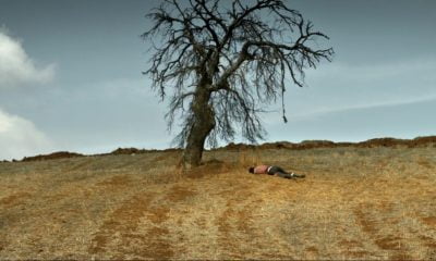 Zdjęcie okładkowe wpisu: Dzika grusza – recenzja opus magnum Nuriego Bilge Ceylana