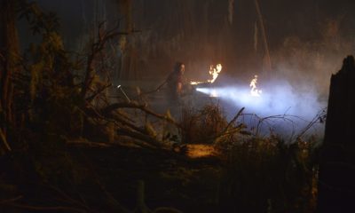 Zdjęcie okładkowe wpisu: Swamp Thing – jest nowy, pełny zwiastun!