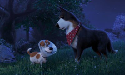 Zdjęcie okładkowe wpisu: Sekretne życie zwierzaków domowych 2 – znajdź w sobie bohatera! Finalny zwiastun animacji!