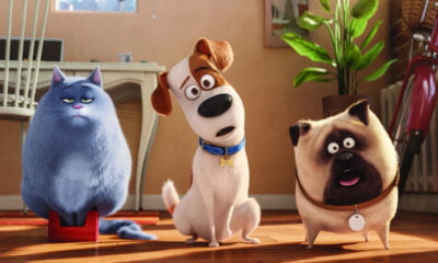 Zdjęcie okładkowe wpisu: Filmowy długi Dzień Dziecka w Multikinie!