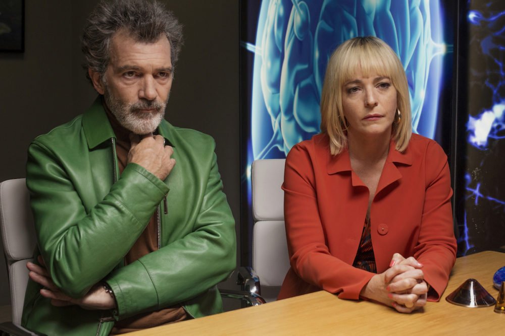 Zdjęcie okładkowe wpisu: Cannes 2019 – dzień 3: Ból i blask, Little Joe
