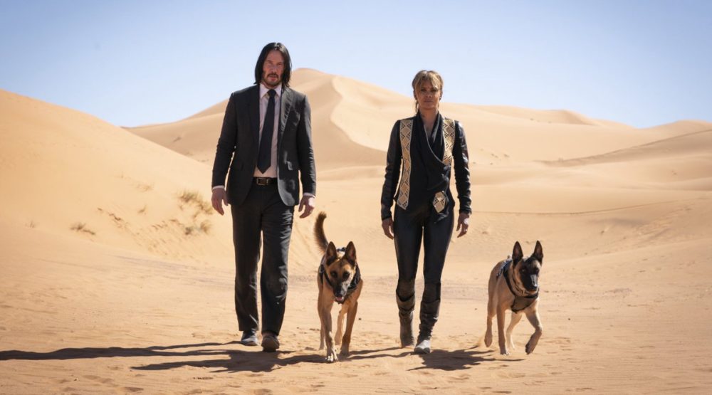 Zdjęcie okładkowe wpisu: John Wick 3: Parabellum – bohater szuka pomocy u Sofii! Nowy fragment filmu!