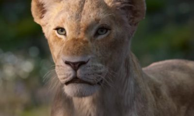 Zdjęcie okładkowe wpisu: Król Lew – nowa zapowiedź! Oto Nala