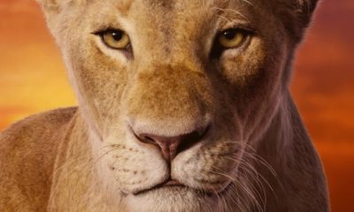 Zdjęcie okładkowe wpisu: Król Lew – obejrzyjcie teledysk Beyonce promujący film!