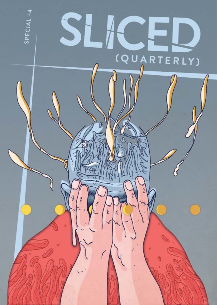 Zdjęcie okładkowe wpisu: Polskie komiksy za darmo – w brytyjskim Sliced Quarterly