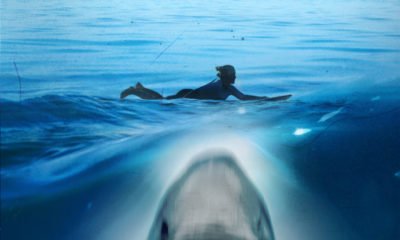 Zdjęcie okładkowe wpisu: Szczęki już w księgarniach – przeczytaj pierwowzór kinowego hitu