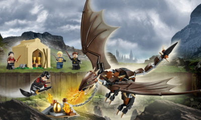 Zdjęcie okładkowe wpisu: Wyniki: Wygraj zestaw LEGO Harry Potter!