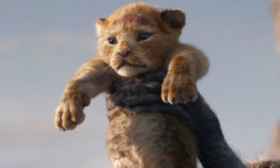 Zdjęcie okładkowe wpisu: Król Lew – fanowskie wideo „poprawiające” fotorealizm filmu Favreau