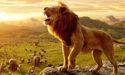 Zdjęcie okładkowe wpisu: Król Lew drugim najlepiej zarabiającym filmem w tym roku!